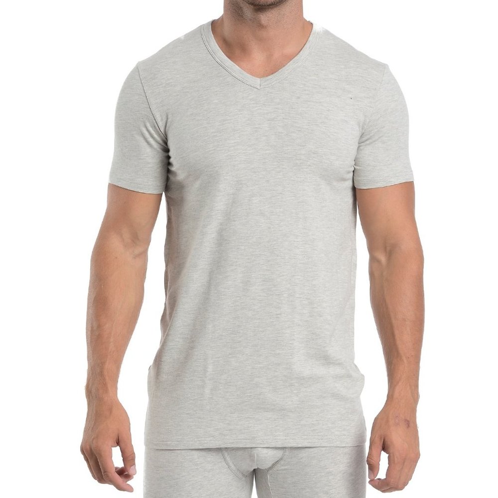Wood Heather Gray V-Neck T-Shirt (Multiple Sizes)